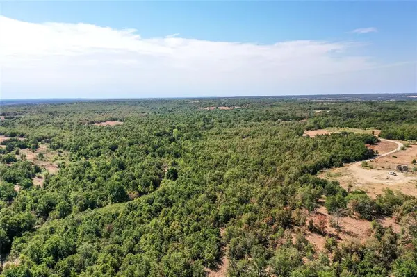TBD Two Bush Road Road, Perrin, TX 76486