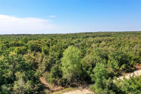 TBD Two Bush Road Road, Perrin, TX 76486