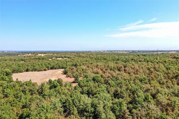 TBD Two Bush Road Road, Perrin, TX 76486
