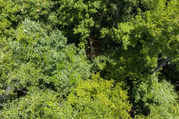 0 County Road 3154, De Berry, TX 75639