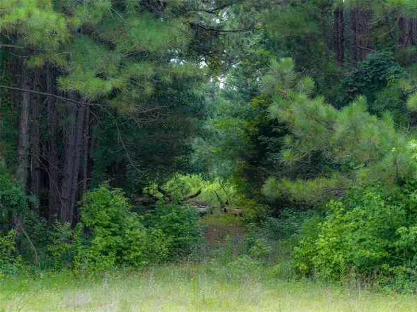 0 County Road 3154, De Berry, TX 75639