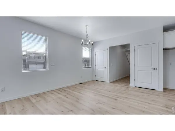 789 Bellow, Windsor, CO 80550
