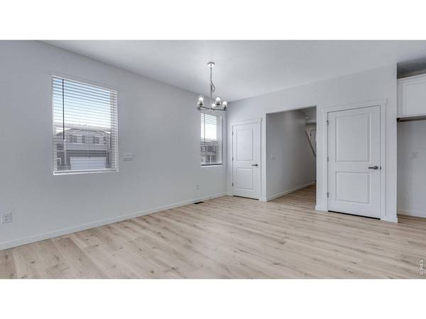 789 Bellow, Windsor, CO 80550