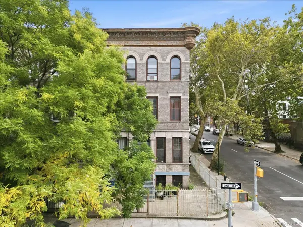 654 Mac Donough ST, Brooklyn, NY 11233