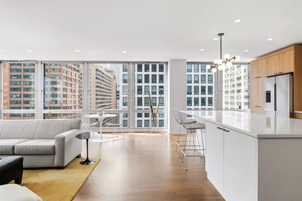 860 N Lake Shore DR #13L, Chicago, IL 60611