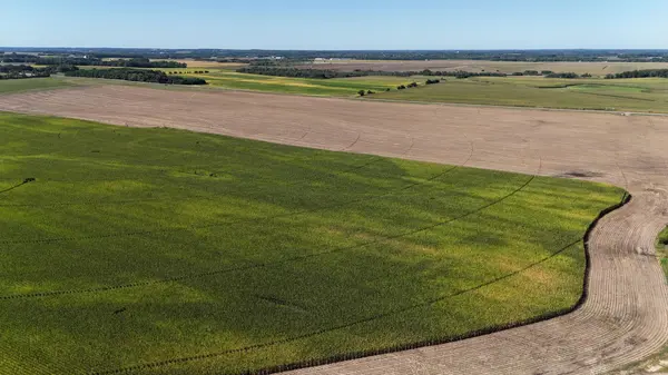 0000 County 61, Browerville, MN 56438