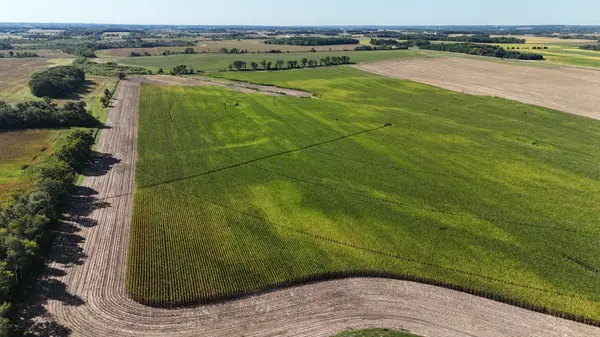 0000 County 61, Browerville, MN 56438