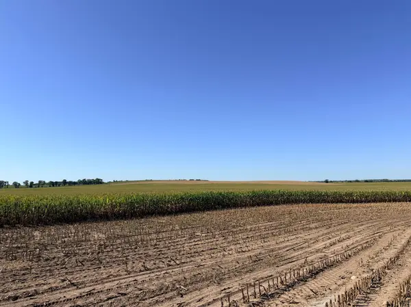 0000 County 61, Browerville, MN 56438