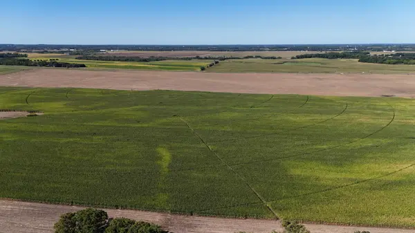 0000 County 61, Browerville, MN 56438