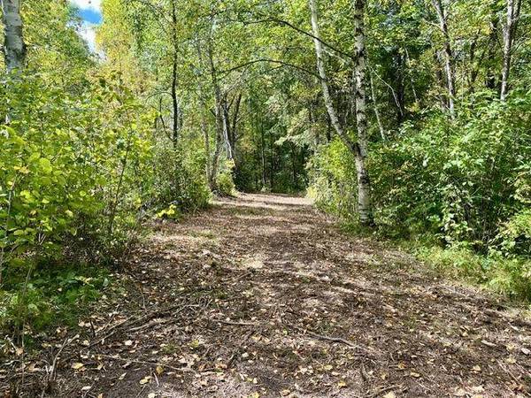 Lot 17 New Melahn DR, Lake George, MN 56458