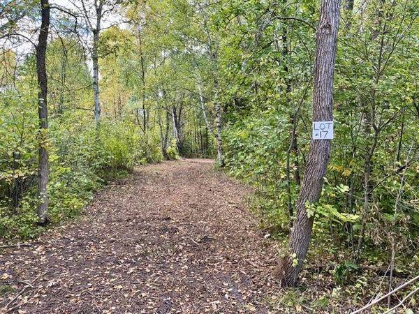 Lot 17 New Melahn DR, Lake George, MN 56458