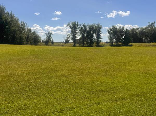 11965 200th ST, Silver Lake, MN 55381