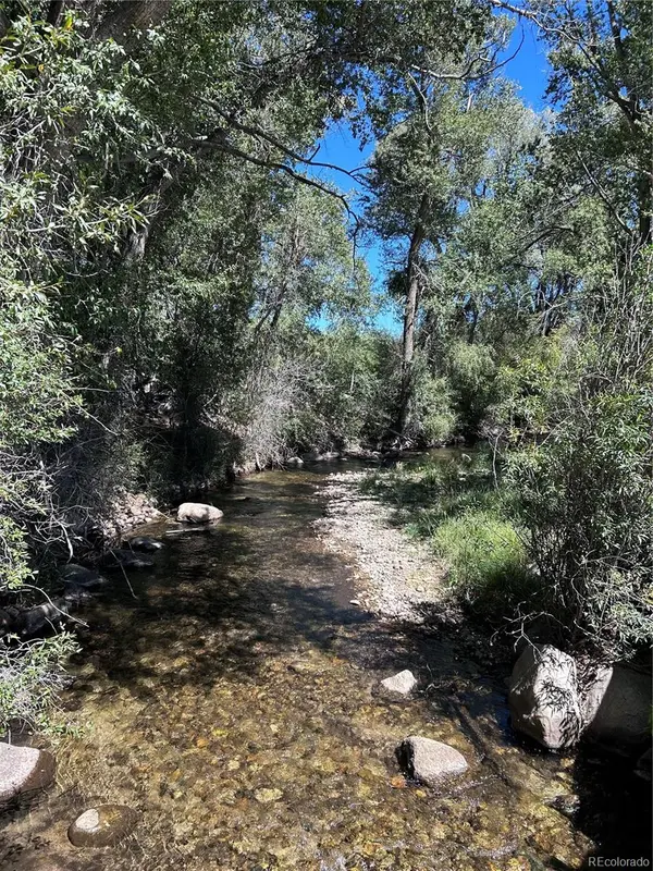 29571 County Road 350a, Buena Vista, CO 81211
