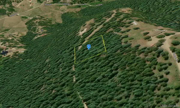 9380 Yegge RD, Morrison, CO 80465