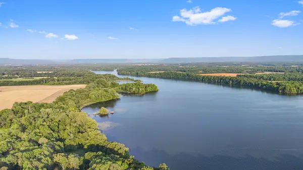 59 Bluebird Trl, Estill Springs, TN 37330