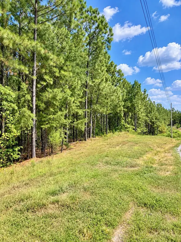 376 Fox Ridge Dr, Linden, TN 37096