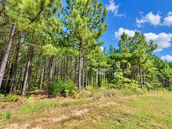 376 Fox Ridge Dr, Linden, TN 37096