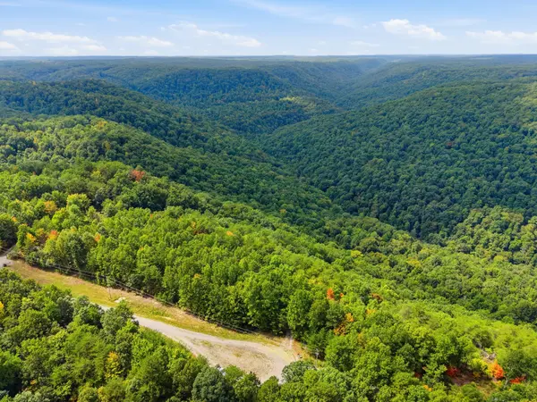 335 Mockingird Ln, Wilder, TN 38589
