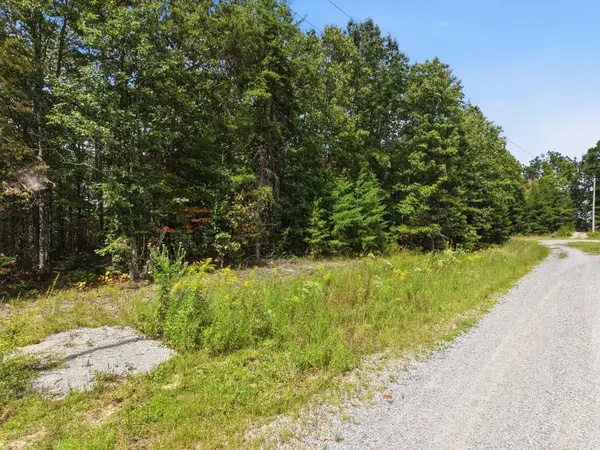 335 Mockingird Ln, Wilder, TN 38589
