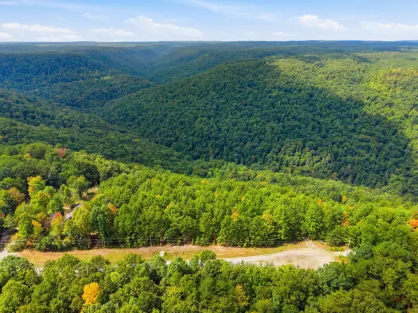 335 Mockingird Ln, Wilder, TN 38589