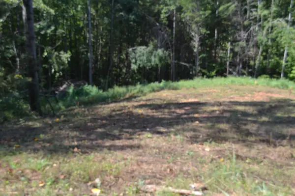 2376 Pea Ridge Fire Town Rd, Celina, TN 38551