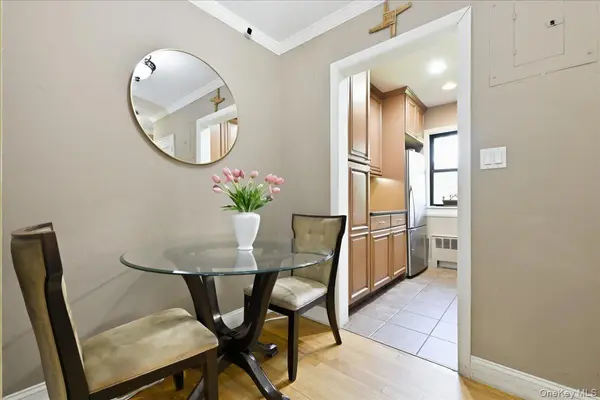 123 Fifteenth #B1, Garden City, NY 11530