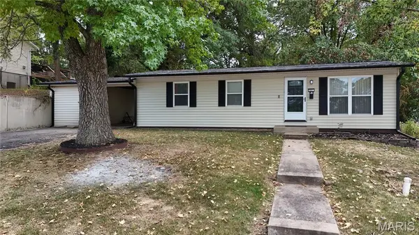 702 Locust ST, Festus, MO 63028