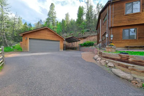 961 Roland DR, Bailey, CO 80421