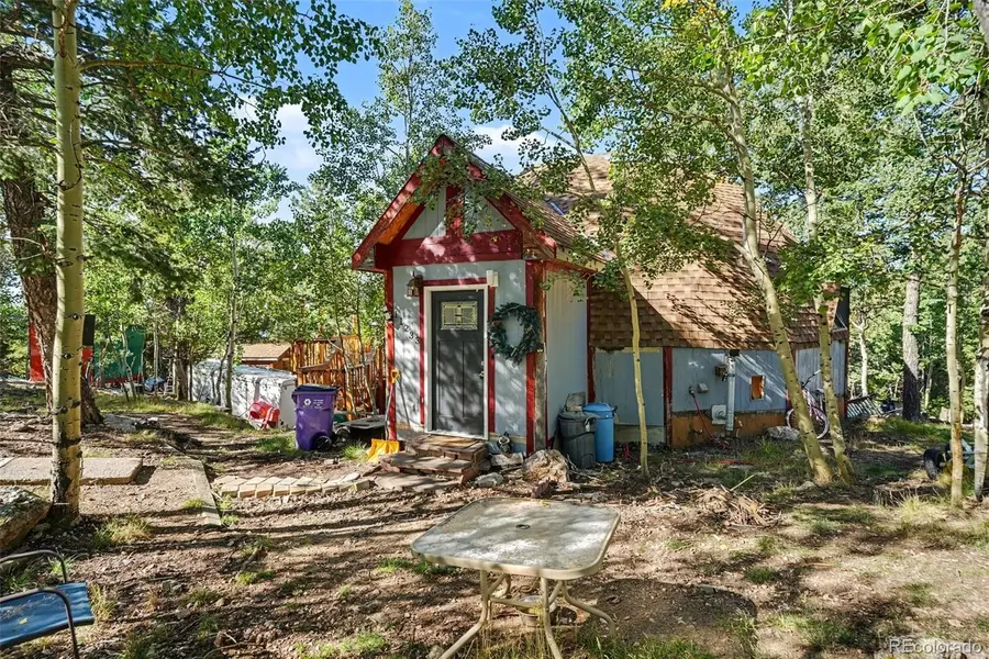 11233 Conifer Mountain RD, Conifer, CO 80433