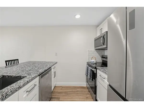 1125 N Washington #503, Denver, CO 80203