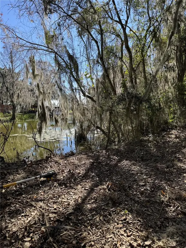 OCKLAWAHA DR, Leesburg, FL 34788