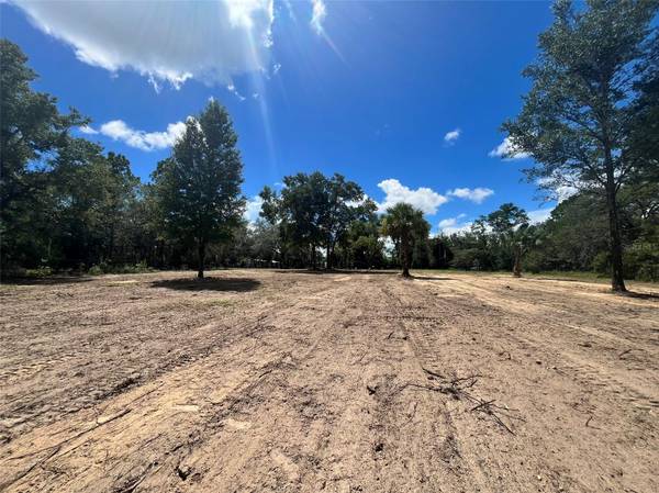 7731 NE 97TH CT, Bronson, FL 32621