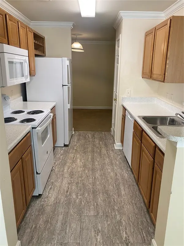 18209 BRIDLE CLUB DR #18209, Tampa, FL 33647