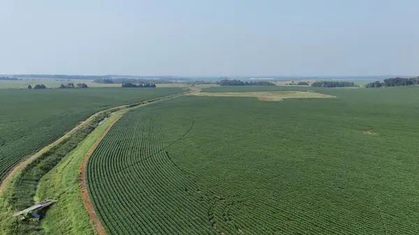 TBD County 61, Browerville, MN 56438