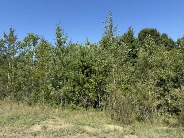 TBD 241st Ave, Stacy, MN 55079