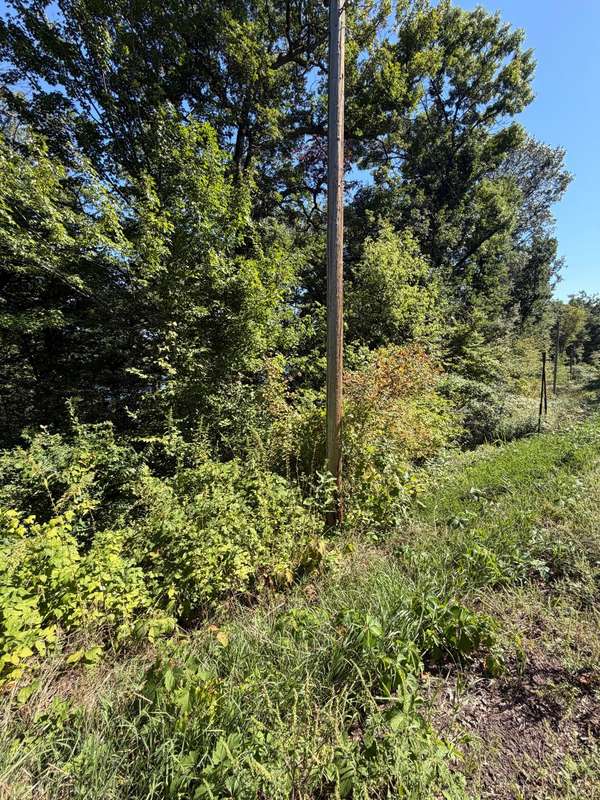 TBD 101st Street, Zimmerman, MN 55398