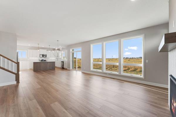 15035 Ardmullivan LN, Rosemount, MN 55068