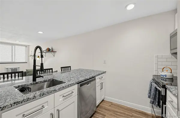 1125 N Washington ST #503, Denver, CO 80203