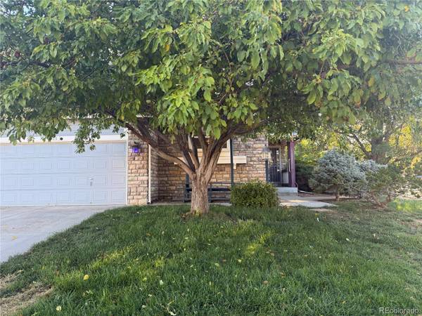 688 S 16th AVE, Brighton, CO 80601