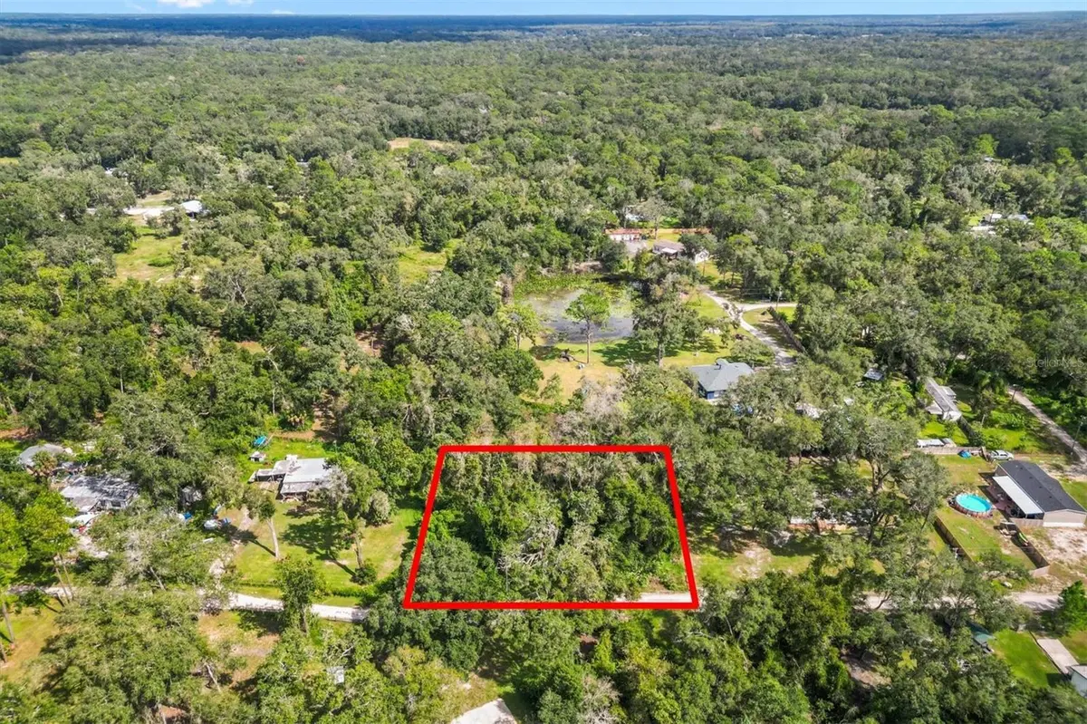 11XXX SW 42ND TER, Webster, FL 33597