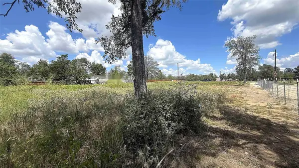 153 Quanah LN, Elgin, TX 78621