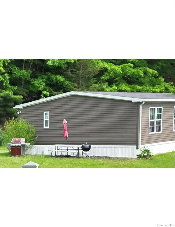 559 Lake RD, Pine Plains, NY 12567