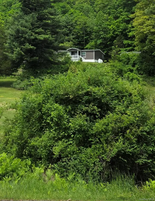 559 Lake RD, Pine Plains, NY 12567