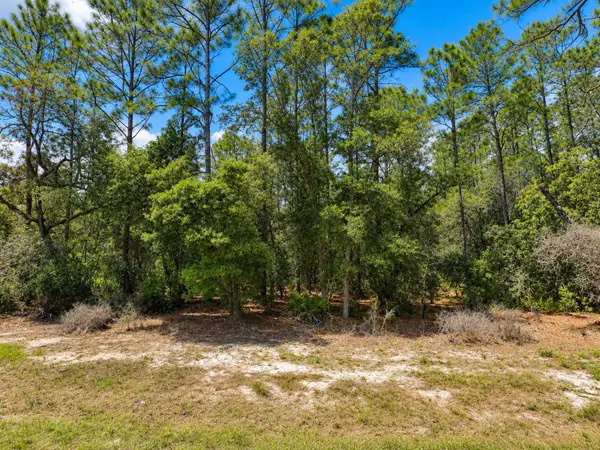0 SW 69TH COURT ROAD, Ocala, FL 34473