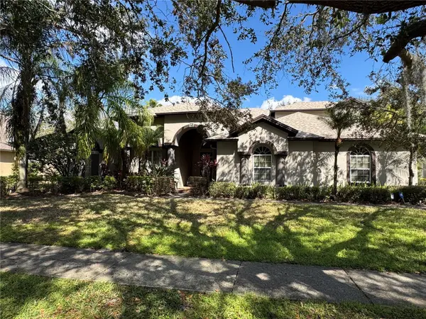 19135 TIMBER REACH RD, Tampa, FL 33647