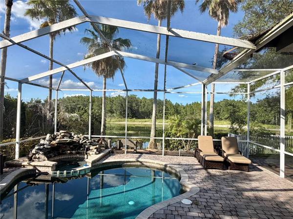 19135 TIMBER REACH RD, Tampa, FL 33647