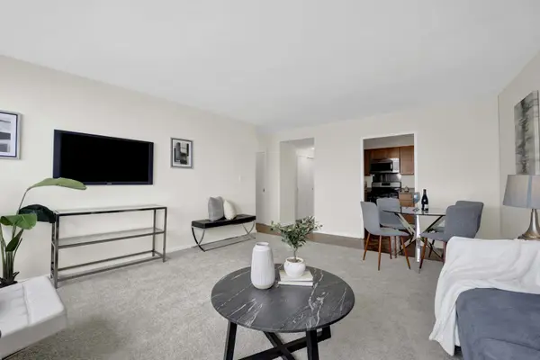 1150 N Lake Shore DR #13C, Chicago, IL 60611