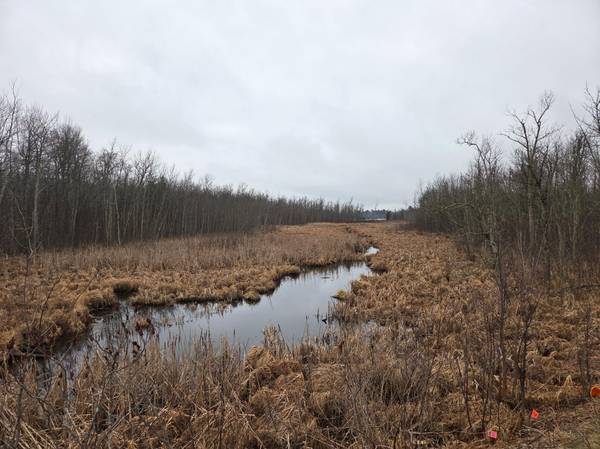 TBD County 11, Longville, MN 56655