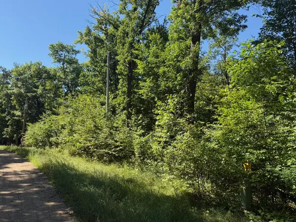 4XYZ Pinewood CT, Browerville, MN 56438
