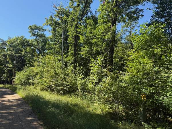 4XYZ Pinewood CT, Browerville, MN 56438